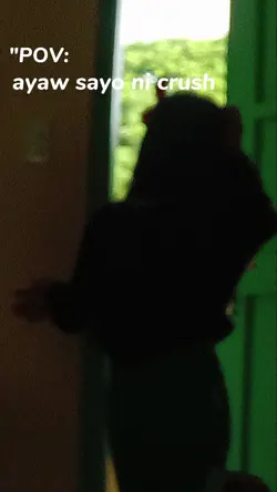 "POV: