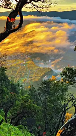 HD KUALITAS 4K FILTE