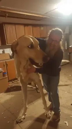 Giant dog Titan