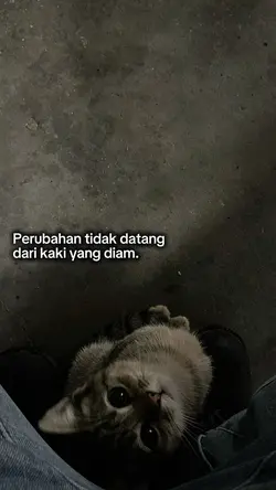 Perubahan