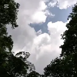 鹿の湯