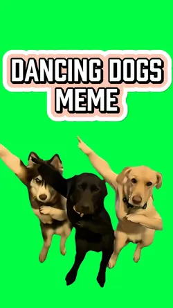 DANCING DOGS MEME
