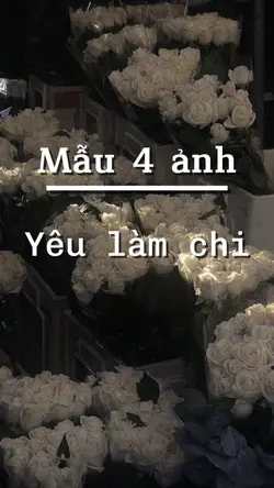 Mẫu 4 ảnh
