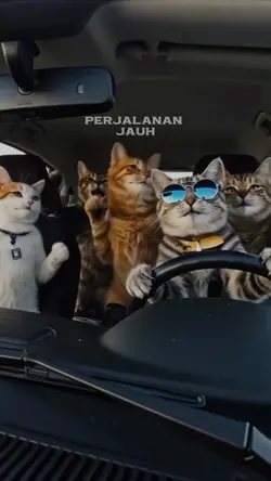 ooo balik kampung