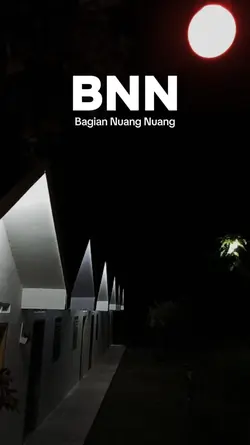 BNN
