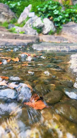 Beautiful river 
