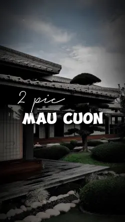 Mẫu 2 ảnh