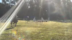 A fall from 
