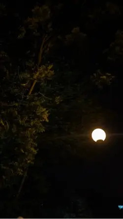Moonlight Memories 🌙