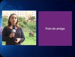 Zoe seus amigos 