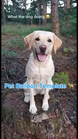 Pet Balloon Template