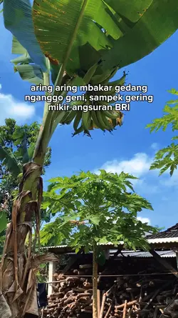 Angsuran BRI