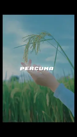 percuma