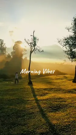 Morning Vibes 