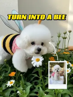 turn into a bee