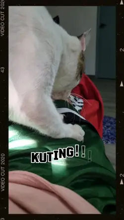 KUTING