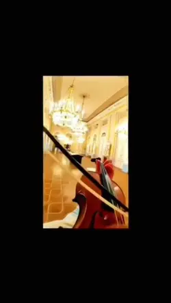 violin 