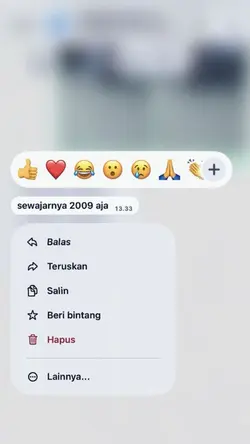 sewajarnya 2009 aja