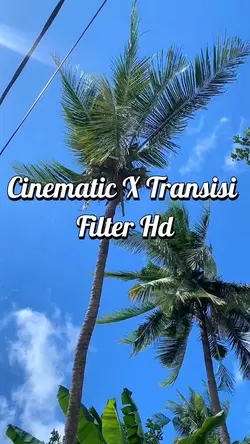 Cinematic x transisi