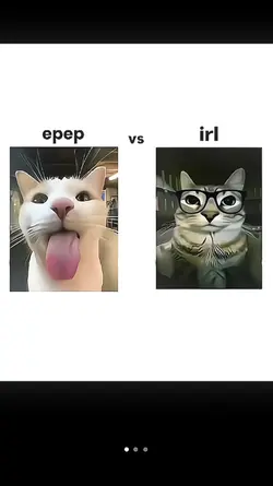 ff vs rl
