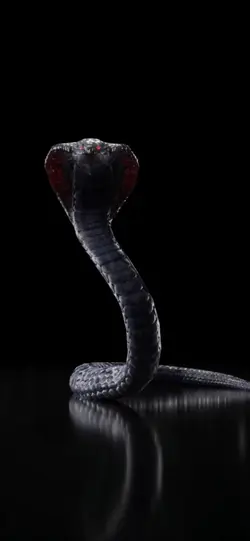 snake edit 