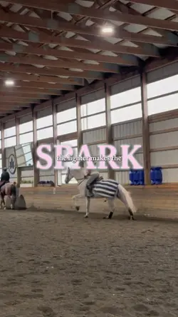 My spark 