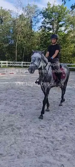 czworobok na Pepie