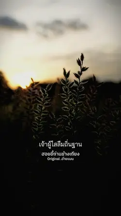 ฮอยขี้ถ่านข้างเถียง