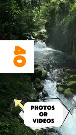 40