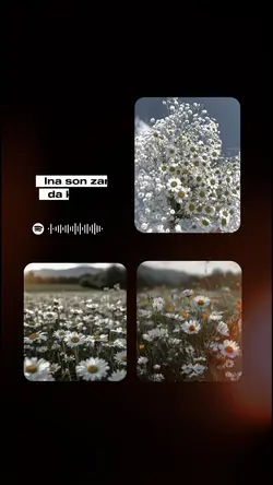 Ina so zama da ke