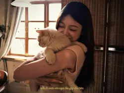 Anh đã mến em ngay