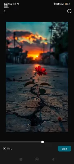 aşkı 