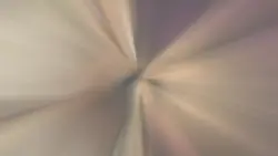 viral template video