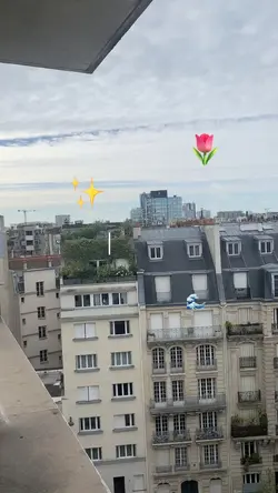Vlog 