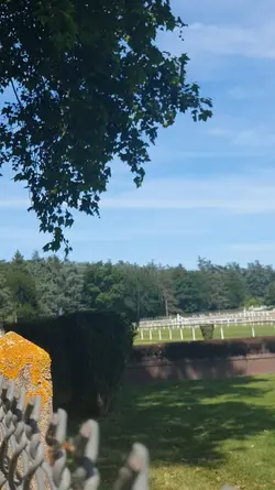 course de chevaux