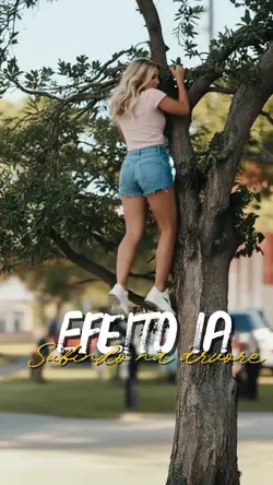 Subindo na Árvore 