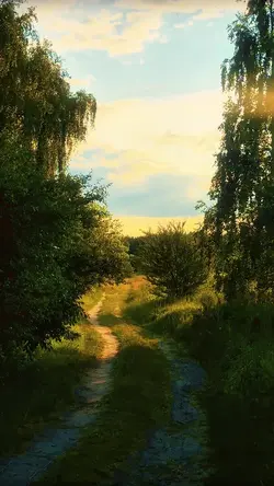 dreamy life
