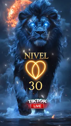 Nivel miembro