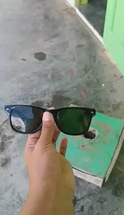 Sunglasses 