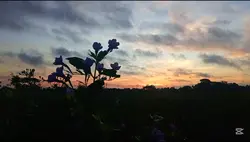 //////////////////