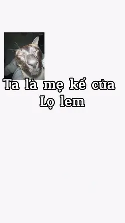 Ta là mẹ kế của lọ l