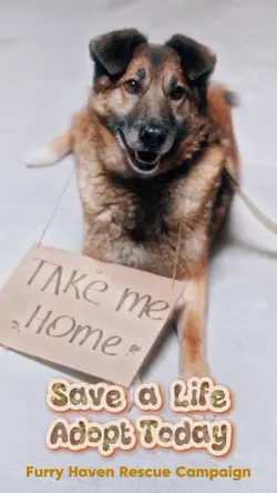 Pet Rescue Campaign