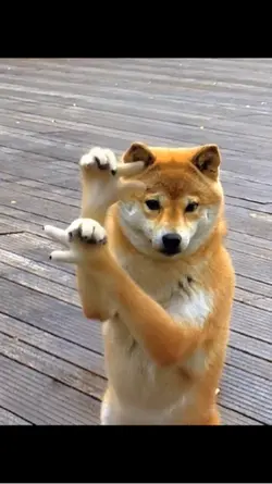 AI鸟儿摇