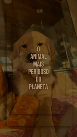 animal mais perigoso
