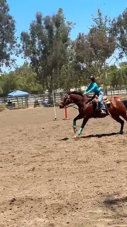 gymkhana!
