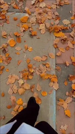yeni şablon