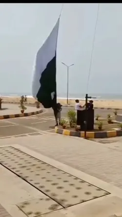 14 August salmno