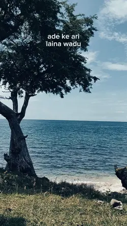 BAJAK LAUT WERA
