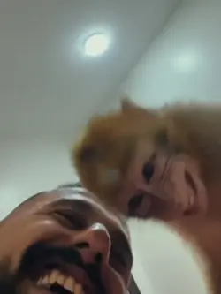 eta eta eta