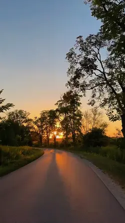 Vlog story